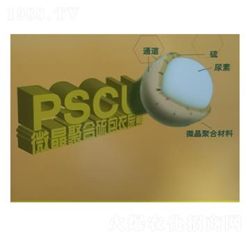 ΢�������������-˼�Z����