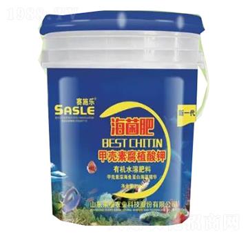 ������-�sҫ�r(n��ng)�I(y��)