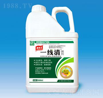 �������-���x��-�N������