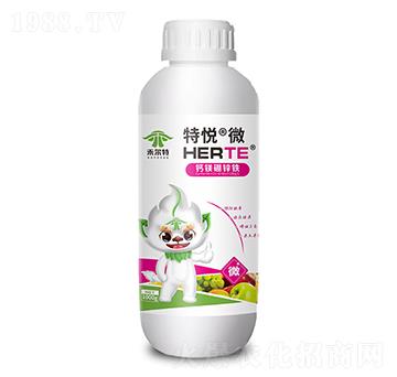 �}�V���\�F-�ؐ�΢-�̠���