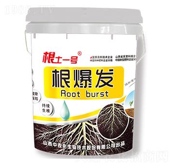 �����l(f��)-����һ̖-���r��