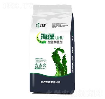 ����΢�������-��������