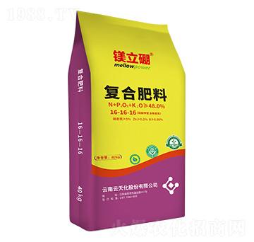 ������͏�(f��)�Ϸ���16-16-16-�V����-���컯