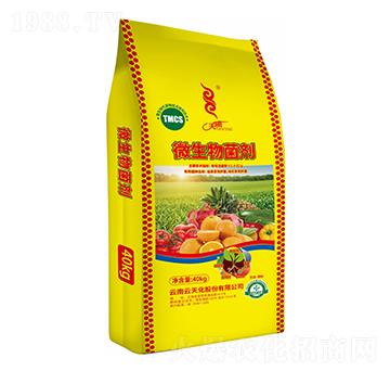 ΢�������-���v-���컯