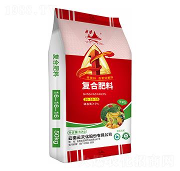 �ͺϷ���16-16-16-�Ʒ�-���컯