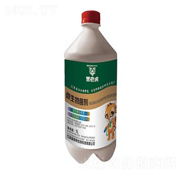 1L΢�������-���ϻ�-�|���r�ʘI(y��)