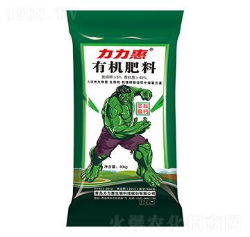 ���ĸ��}�ЙC(j��)����-����