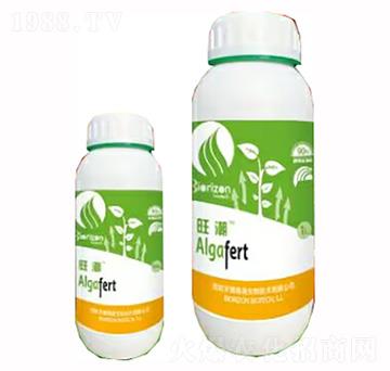 ����-�����m��