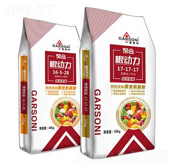 ��������ͺϷ���-��ʩ����������-�ƈD�ع�