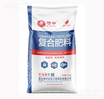 ���������ͺϷ���26-13-8-����