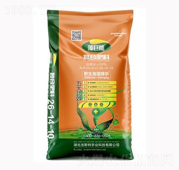 ����܏ͺϷ���26-14-10-����