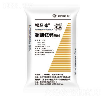 �����@�}-�{�R-�����r�I(y��)