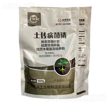 ����������-�ډѴT�S-��������