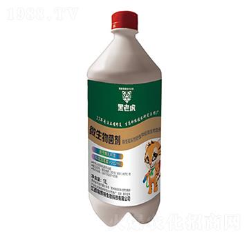 1L΢�������-���ϻ�-����