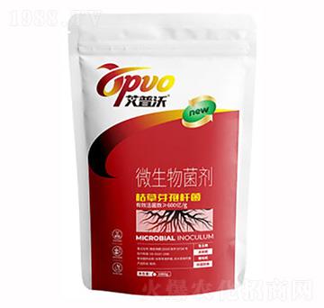 �ݲ�ѿ�ߗU��-�I(y��)�r(n��ng)