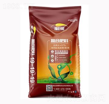 ����܏ͺϷ���19-19-19-��˹���r(n��ng)�I(y��)