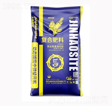 �񲶏ͺϷ���16-14-16-��˹���r(n��ng)�I(y��)