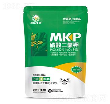 ��������-��������