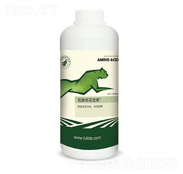 ��Чֲ�ﻨ�����M��-���}��(y��u)����(y��u)��-�G���_