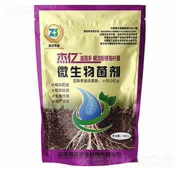 �����ѿ�ߗU��-�܃|�����-�����r(n��ng)�I(y��)