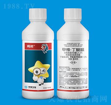 21.3%�׾S��������-�Q�r-��������