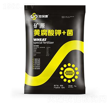 �VԴ�S�����+��-ʩ����