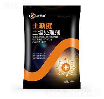 ����̎�턩-���ս�-ʩ����