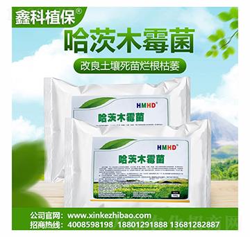 ����ľù��-�ο�ֲ��