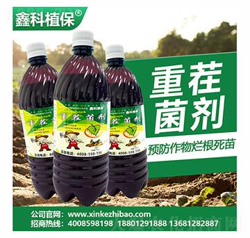 �ز����-�ο�ֲ��