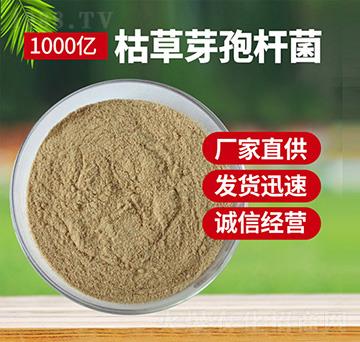 �ݲ�ѿ�ߗU��ԭ��-������