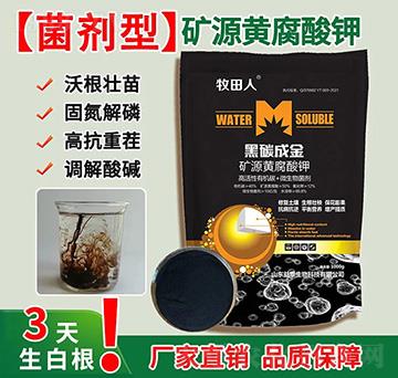 ��̼�ɽ�VԴ�S�����-������