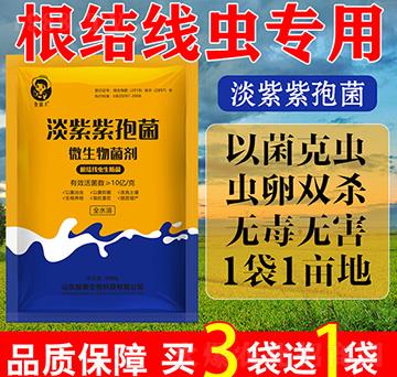 �������߾�-΢�������-������