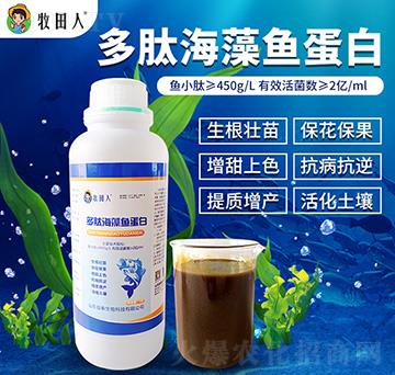 ���ĺ����~����-������