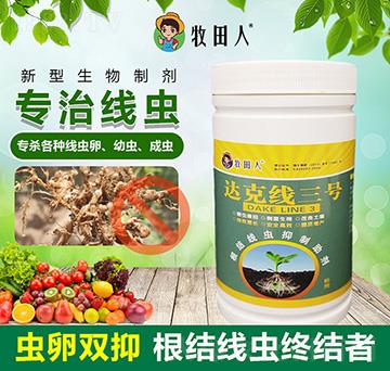 �_�˾���̖-������