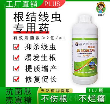 �_�˾�2̖������-������