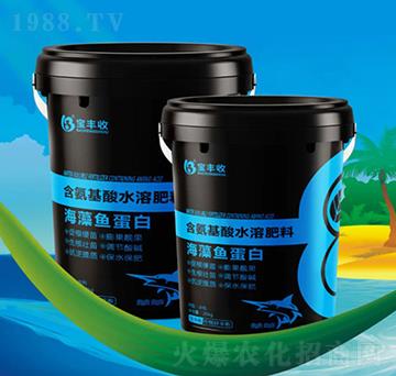 �����~(y��)����-���S��