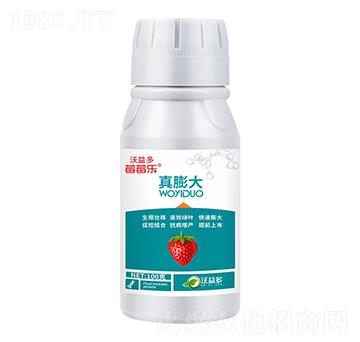 ���������Ԫ��ˮ�ܷ���-ݮݮ��-�����