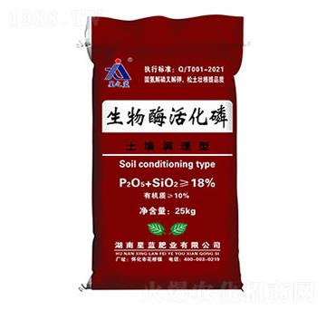 �����{��������ø���-���{�ʘI(y��)