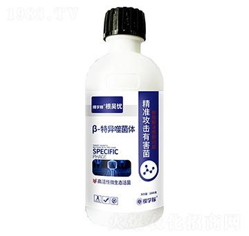 ��-�خ��ɾ��w-���Ǒn-�ÌW��