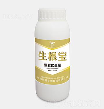 �����������l(f��)ʽ������-������