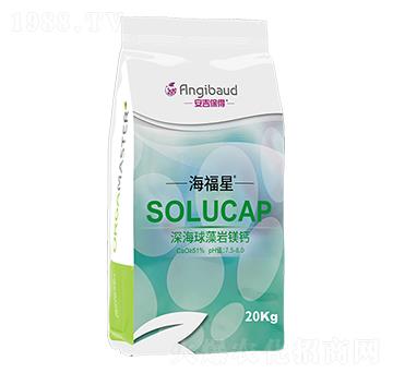 �����r�V�}-������-����������