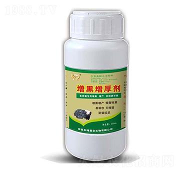 ��ЦЦ����������-���_(d��)����