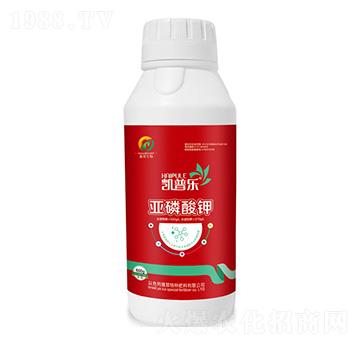 �������-�P�՘�(l��)-�Ŵ�����