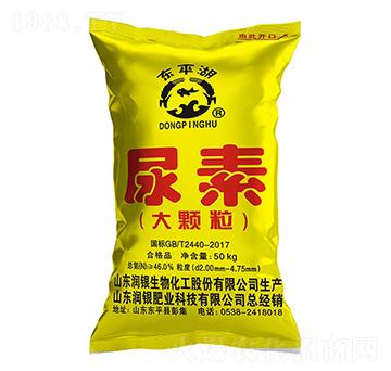 ���w������-�|ƽ��-���y����