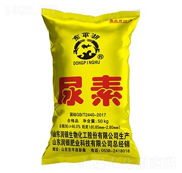 С�w������-�|ƽ��-���y����