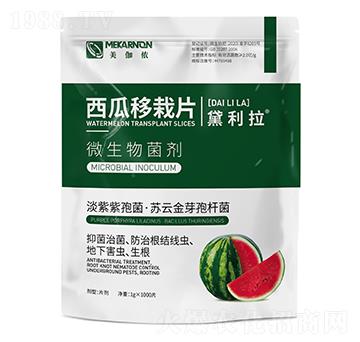 ��������Ƭ-������-��٤�z