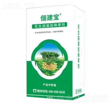 �����������݄�-�轨��-�Z�����r(n��ng)�I(y��)