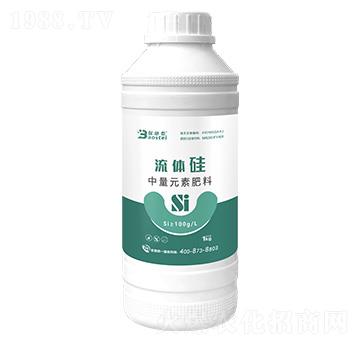 ���w��-��ʩ̩