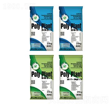 �����_������S���ش���Ԫ��-�����_