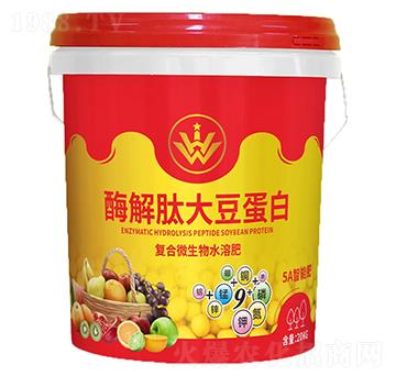 ø���Ĵ󶹵��ף�������(f��)��΢���-�V˼Դ